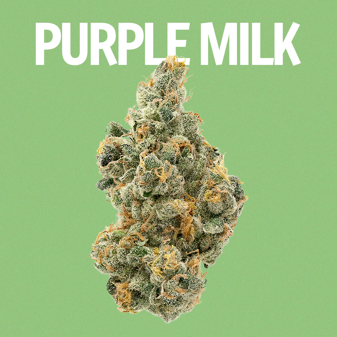 Purple Milk