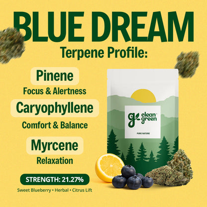 The Full Experience Bundle