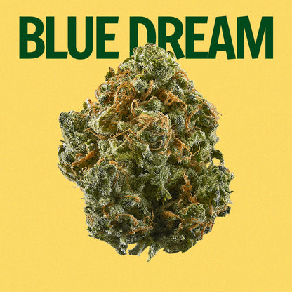 Blue Dream