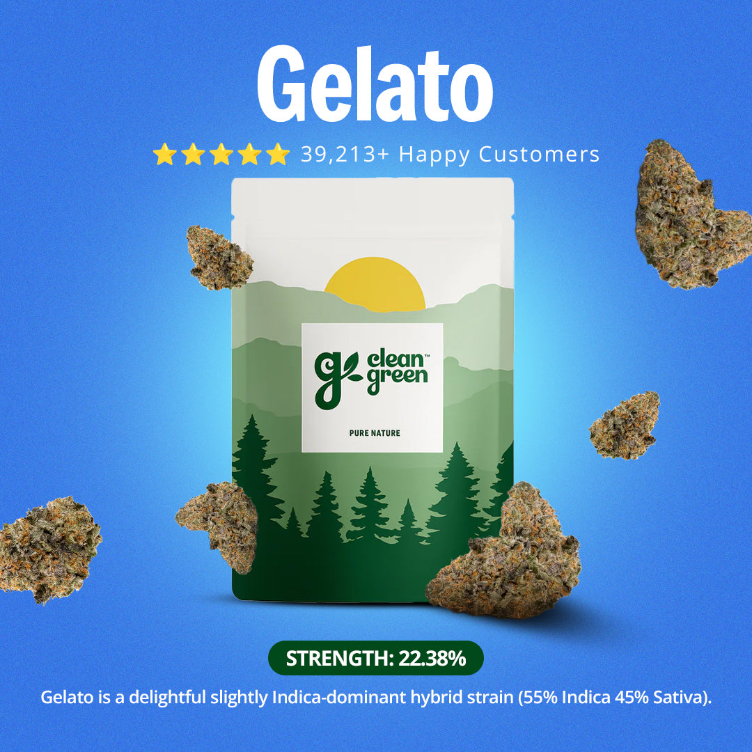 The Full Experience Bundle