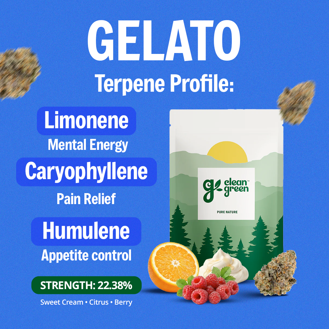 The Full Experience Bundle