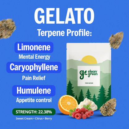 The Full Experience Bundle