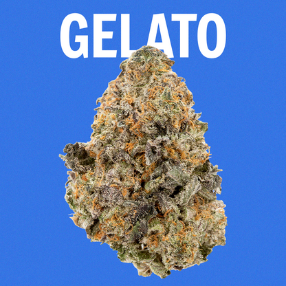 Gelato