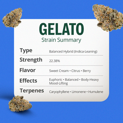 The Full Experience Bundle