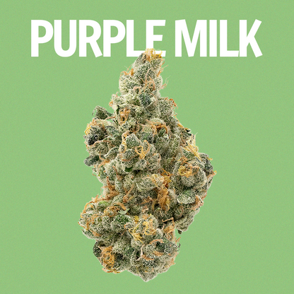 Purple Milk