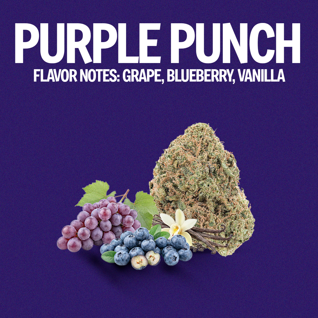 Purple Punch