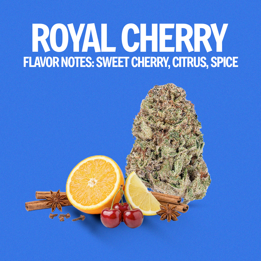 Royal Cherry