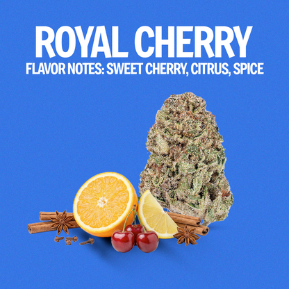 Royal Cherry