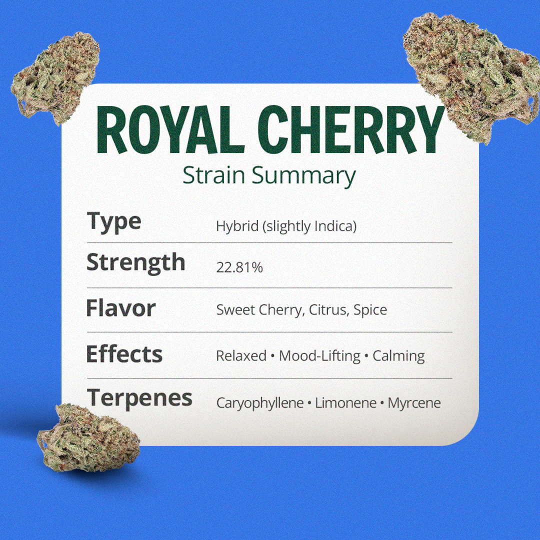 Royal Cherry
