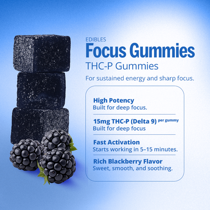 Focus Gummies