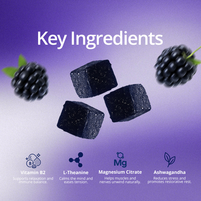 The Full Experience Bundle